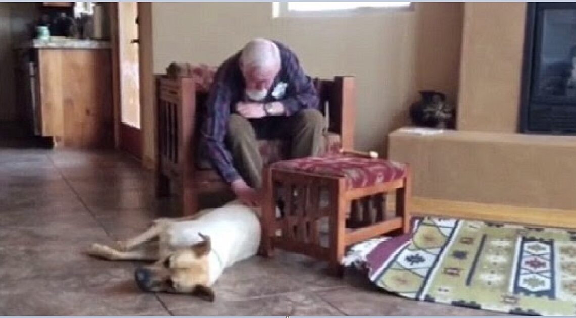 Muž trpiaci Alzheimerovou chorobou prestal rozprávať, keď sa však k nemu priblíži pes jeho dcéry, stane sa niečo úžasné!