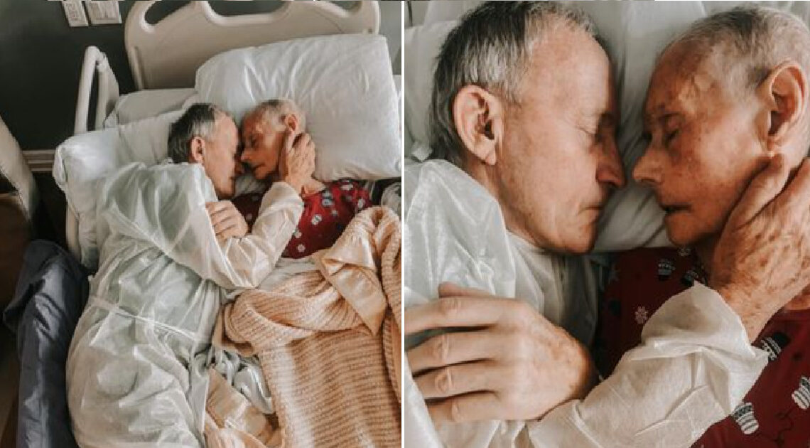 Vnučka zachytila posledné momenty 60-ročného, milostného príbehu starých rodičov: „Spoločný život plný lásky“…