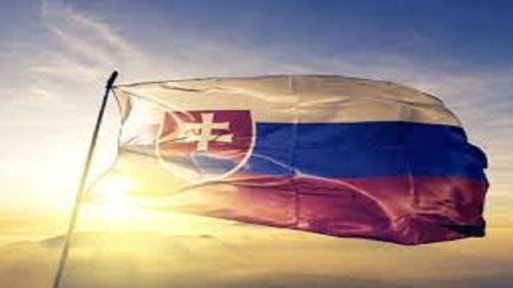 Podľa srbského politológa Zoriča by Slovensko malo zaniknúť, respektíve rozdeliť sa medzi ostatné štáty.