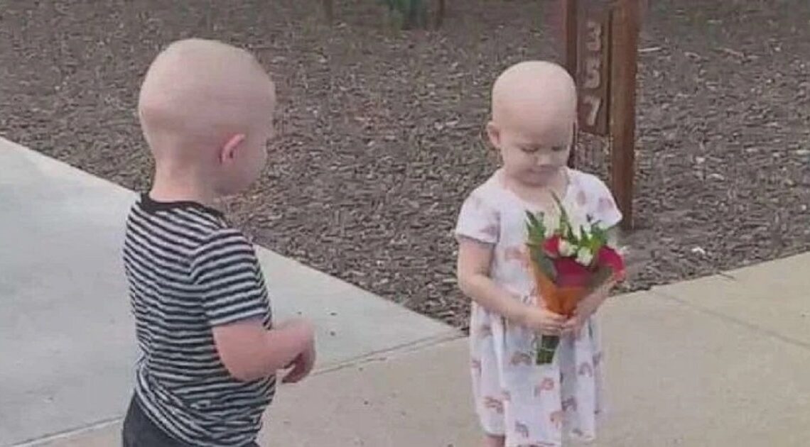 3-roční kamaráti vyhrali boj s rakovinou a po dlhom čase sa opäť stretli…