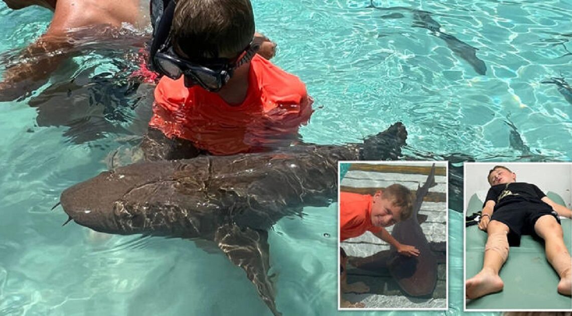 „Otec, ja nechcem zomrieť!“ Kričal 8-ročný chlapec, ktorého napadli žraloky……