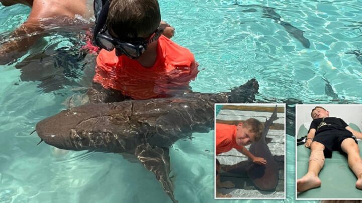 „Otec, ja nechcem zomrieť!“ Kričal 8-ročný chlapec, ktorého napadli žraloky……