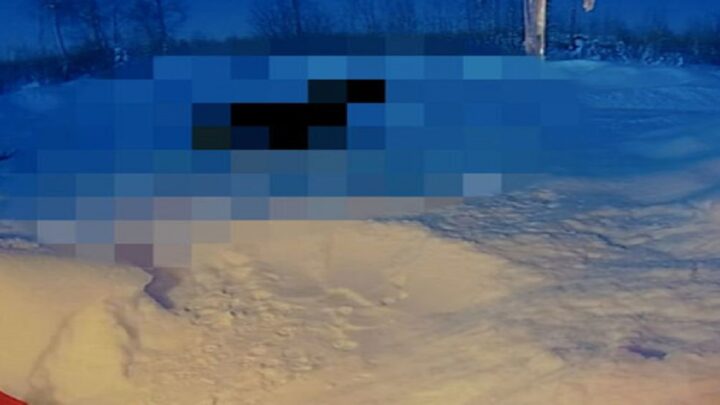 Úžasná vec bola zachytená na bezpečnostnej kamere v dome… Je to veľmi zriedkavé vidieť!