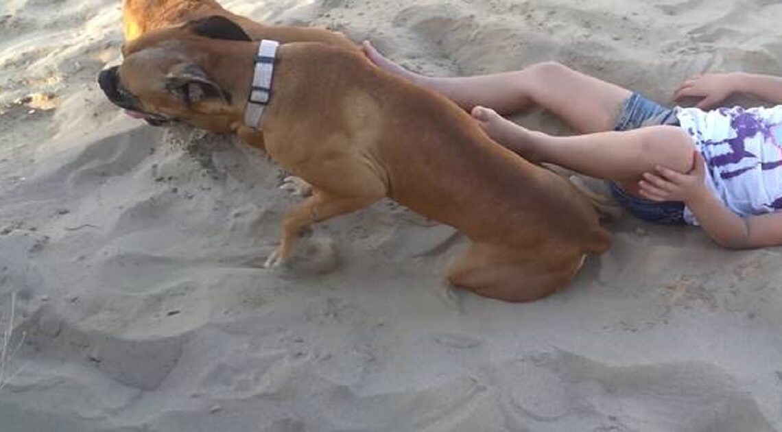 Dievčatko kopne psa ležiaceho na pláži, ale hneď to oľutuje!