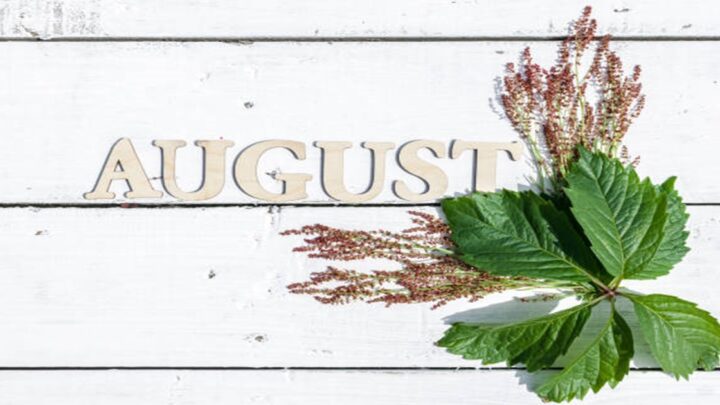 Denný horoskop 20. júla – Všetko sa ukáže už dnes!